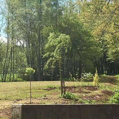 Le Moulin De Lassalle Curemonte Zewnętrze zdjęcie